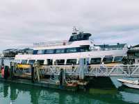 Sailing Through San Francisco’s Icons