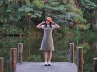 Pang Ung Camp Site - ลานกางเต็นท์ปางอุ๋ง