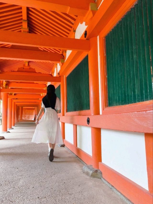 🇯🇵 NARA day trip, and yes, NARA 🦌 bow! 