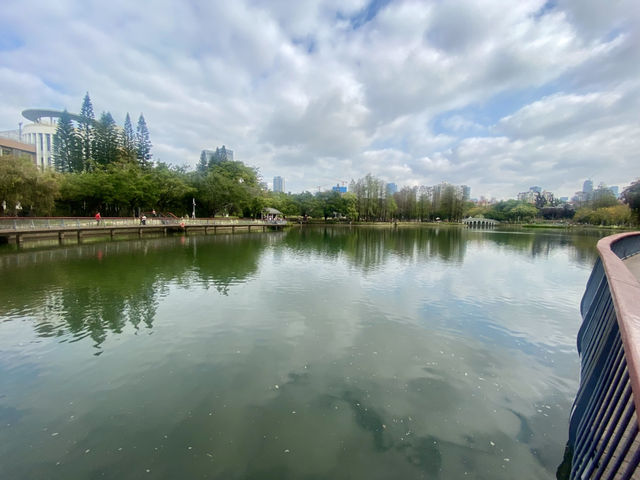深圳清新自然美地✨四海公園 🌸🌿