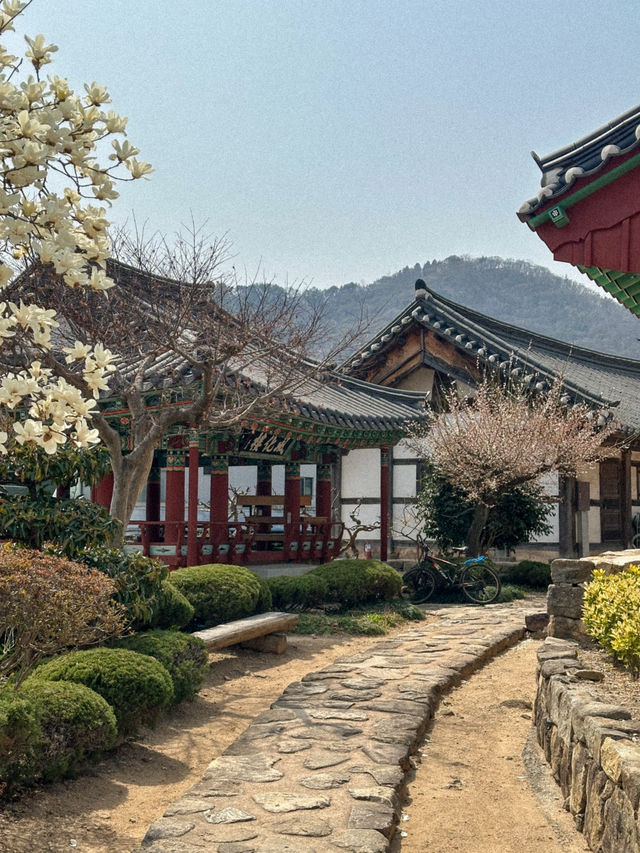 무료로 다양한 봄꽃을 볼 수 있는 곳