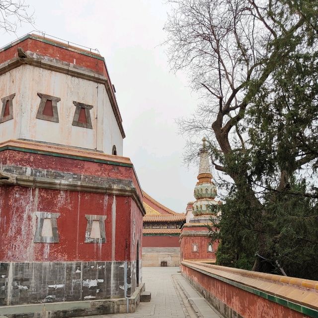 Where Nature Meets Majesty: My Journey to the Summer Palace