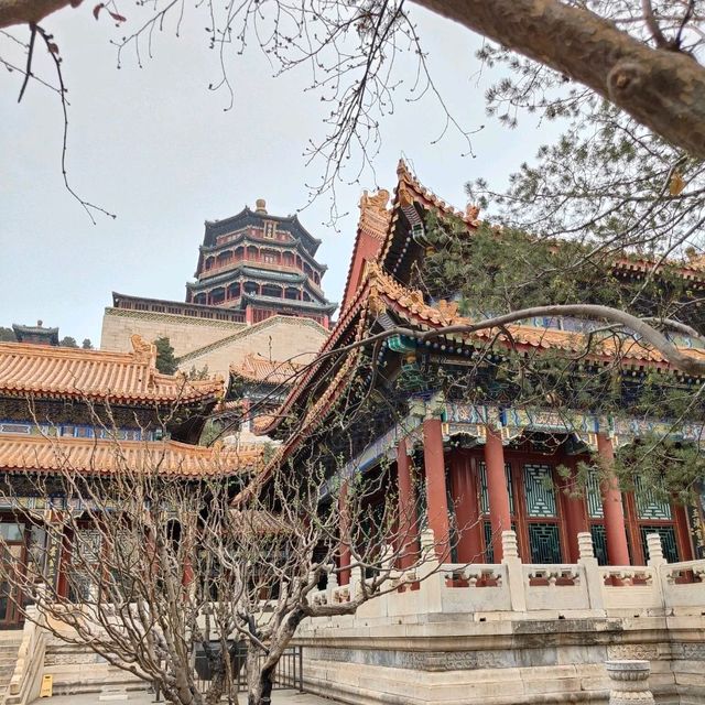 Where Nature Meets Majesty: My Journey to the Summer Palace