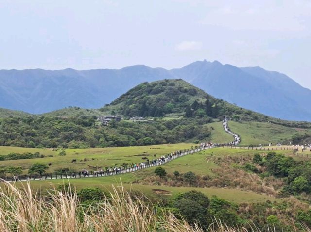 造訪擎天崗