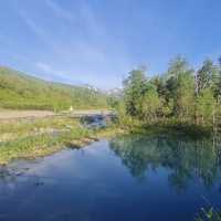 【北海道】🇯🇵 白金青い池