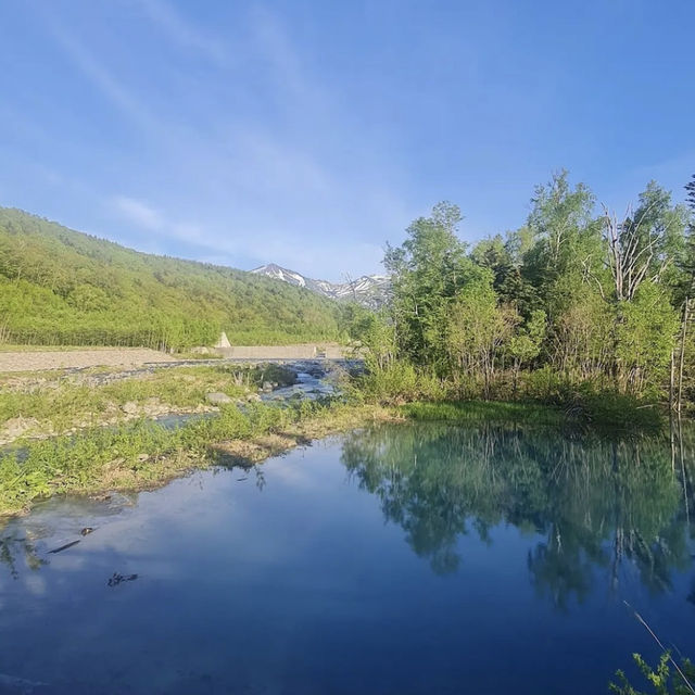 【北海道】🇯🇵 白金青い池