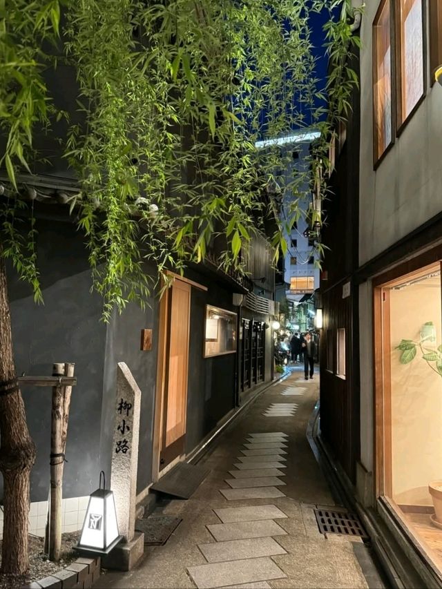 高瀨川櫻花運河，京都賞夜櫻的好去處！