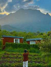 ไปนอนที่พักวิวดอยหลวงเชียวดาวด้วยกันมั้ย⛰️🌷🫶🏻