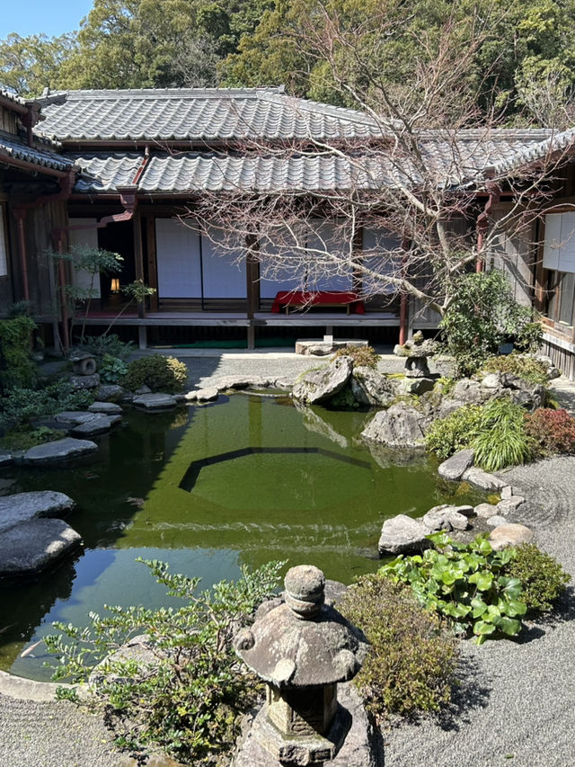 鹿兒島：自然與美食的完美之旅