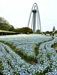 【岐阜×木曽三川公園】 愛知、岐阜、三重にまたがる公園の展望塔