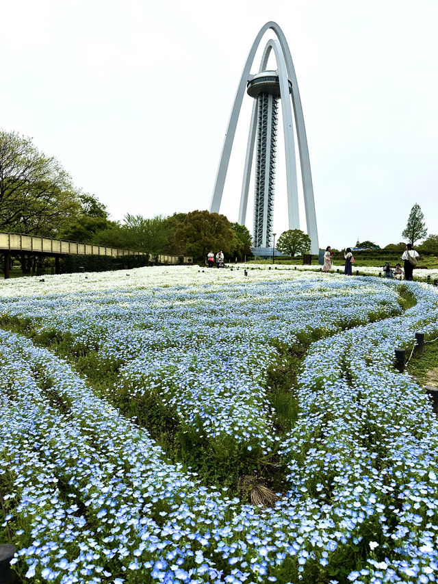 【岐阜×木曽三川公園】 愛知、岐阜、三重にまたがる公園の展望塔
