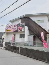 【兵庫/伊丹】マシューのチョコレート工場直売所🤡🍫✨