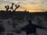 Joshua Tree🌴令到我沙漠依2個字有了實感🏜️