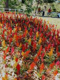FLORAL PARADISE WORTH EXPLORING