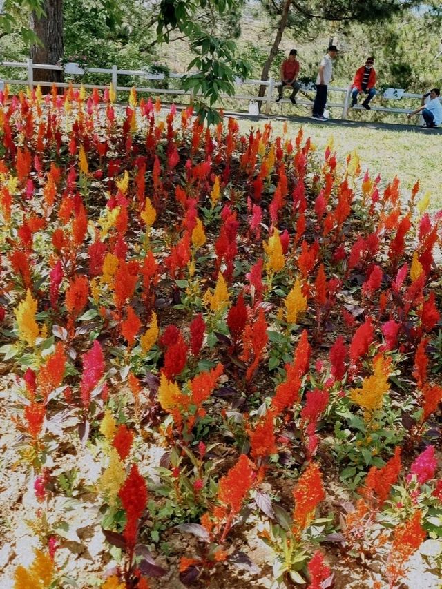 FLORAL PARADISE WORTH EXPLORING
