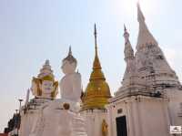 วัดพระวรราชาทินัดดามาตุ 