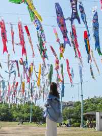 【大阪/高槻】約1000もの"こいのぼり"が掲揚🎏