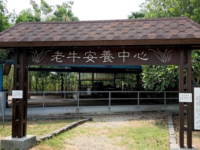 #溪州公園-彰化縣溪州鄉
