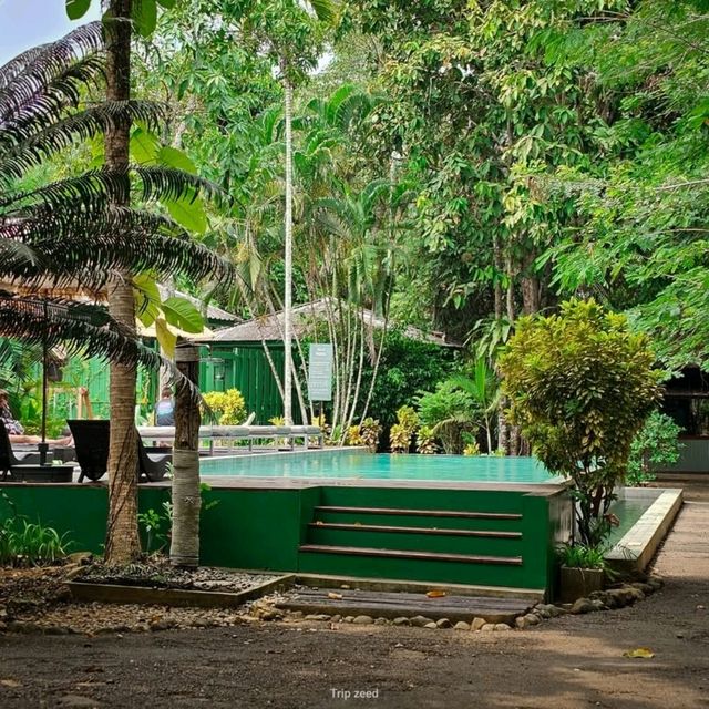 ร้านอาหาร และคาเฟ่ ท่ามกลางธรรมชาติ กระบี่