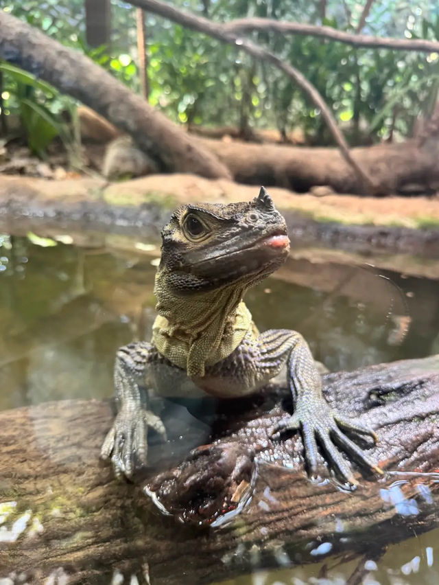 River Wonders