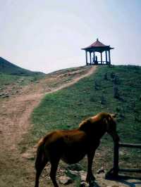 Ping Tian Mountain: A High-Altitude Meadow of Stunning Beauty