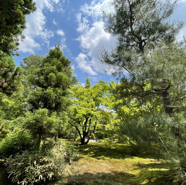 【京都】新緑に空の青さ、曹源池庭園 は素晴らしい