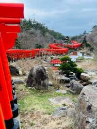 Foxes, Forests & a Thousand Gates — My Takayama Inari Shrine Stroll