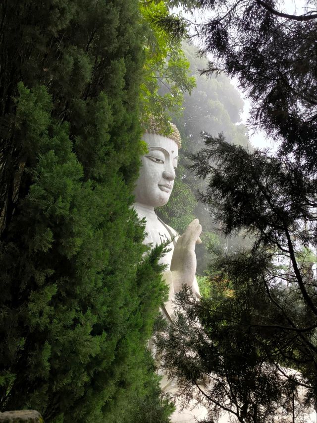 Serenity at Chin Swee Temple