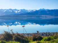 Lake Pukaki : Nature’s Mirror in New Zealand🏔✨️
