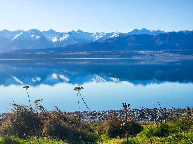 Lake Pukaki : Nature’s Mirror in New Zealand🏔✨️
