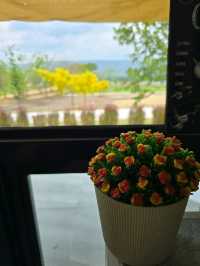 Ma Cafe มะคาเฟ่ วิวหลักล้าน
