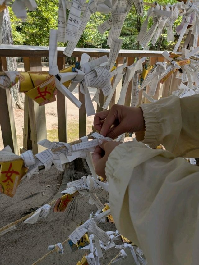 武田神社で心リセット。歴史感じる空気とおみくじ体験！