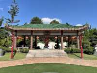🐉✨ Fortune Dragon Yong Peng: Where Luck & Legend Come Alive! ✨🐉