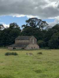 Dunham Massey – The Deer Park Near Manchester
