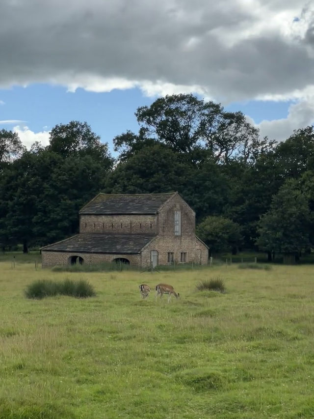 Dunham Massey – The Deer Park Near Manchester