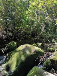 Kinabalu Geopark – UNESCO-Listed Mountain & Biodiversity Hotspot** 🏔️🌿  
