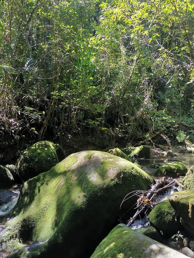 Kinabalu Geopark – UNESCO-Listed Mountain & Biodiversity Hotspot** 🏔️🌿  