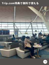 【上海女一人旅】浦東空港のラウンジ正直レビュー！利用価値ある？