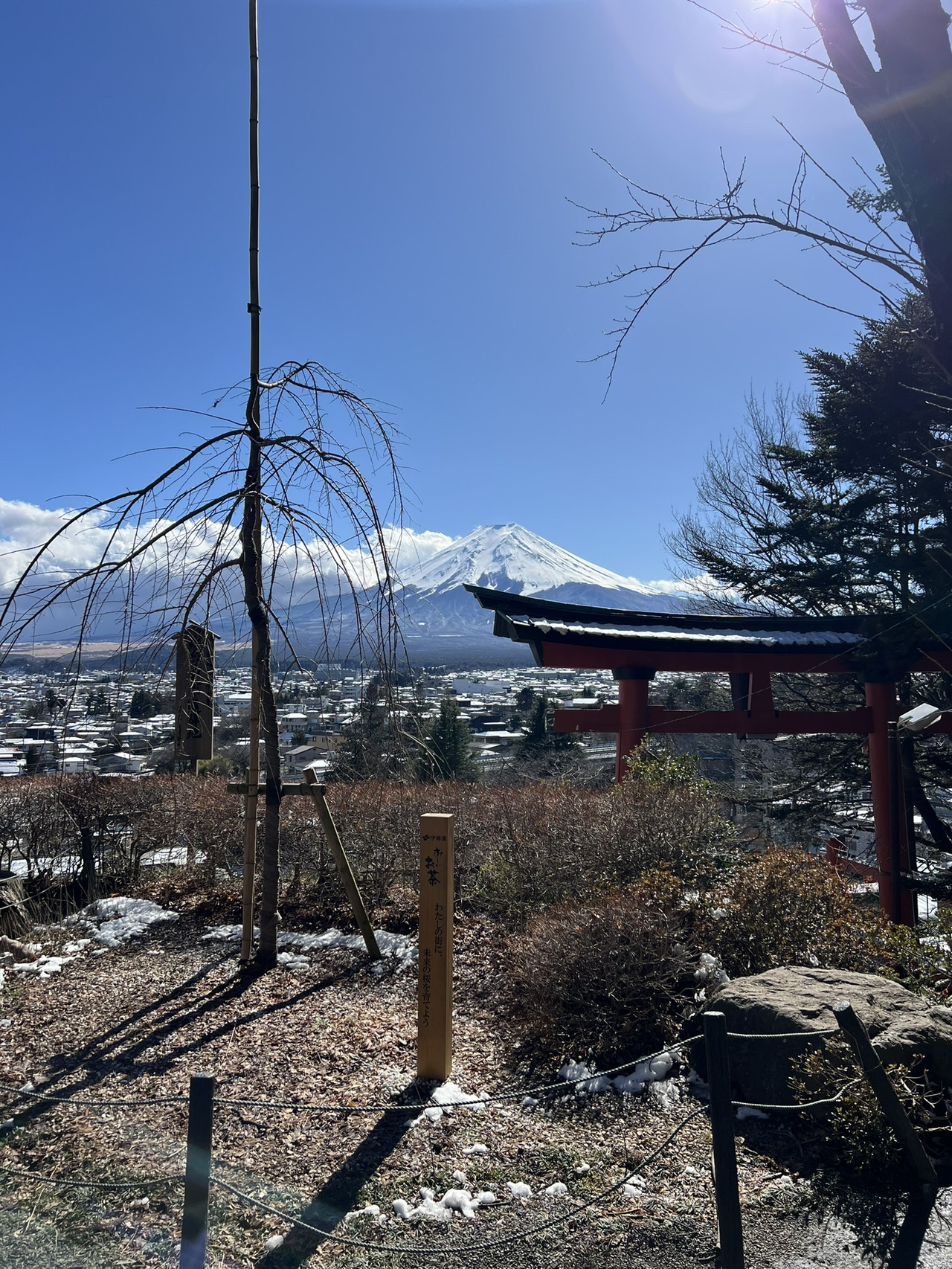 紅葉×五重塔×富士山の最強コラボ!新倉山浅間公園に行ってきた 紅葉×五重塔×富士山の最強コラボ!新倉山浅間公園に行ってきた