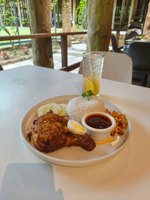 Nature Meets Café Vibes at Pineyard Genting