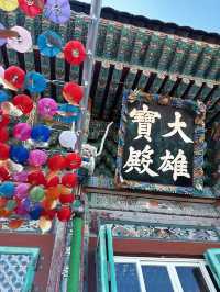 Spring Magic at Korea’s Most Beautiful Seaside Temple 