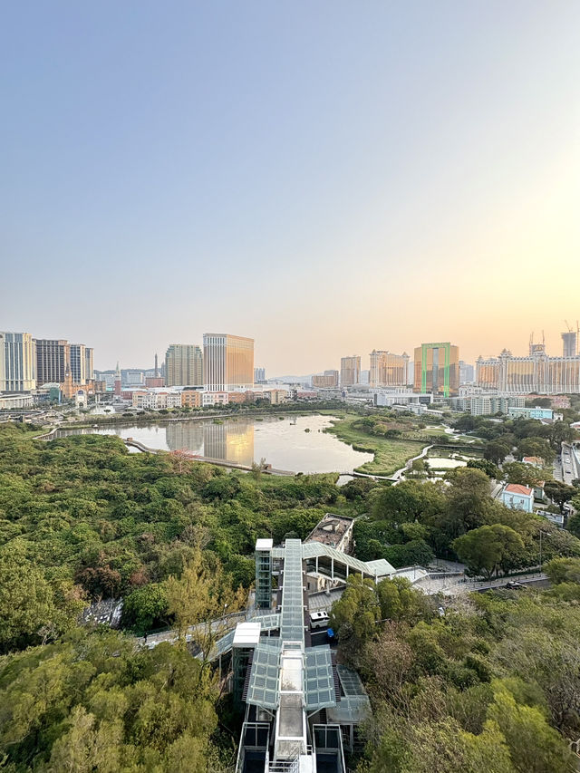 大潭山日落美景-日落飛車與大潭山瞭望台，欣賞路氹大道之美