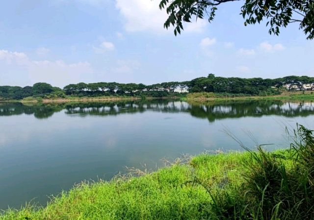 #紫籐湖-雲林縣斗六市