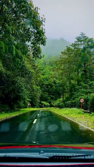 At ease when scenery is in vibrant green