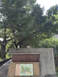 台北｜台大醫院站一日遊指南