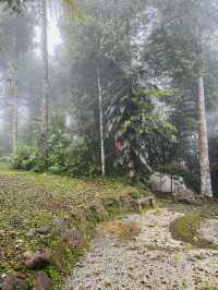 The Tatami Spa Hidden in the Forest