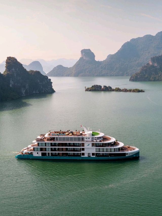 ⛵🦢 Sail into Paradise: My Swan Cruise in Halong Bay! 🦢⛵