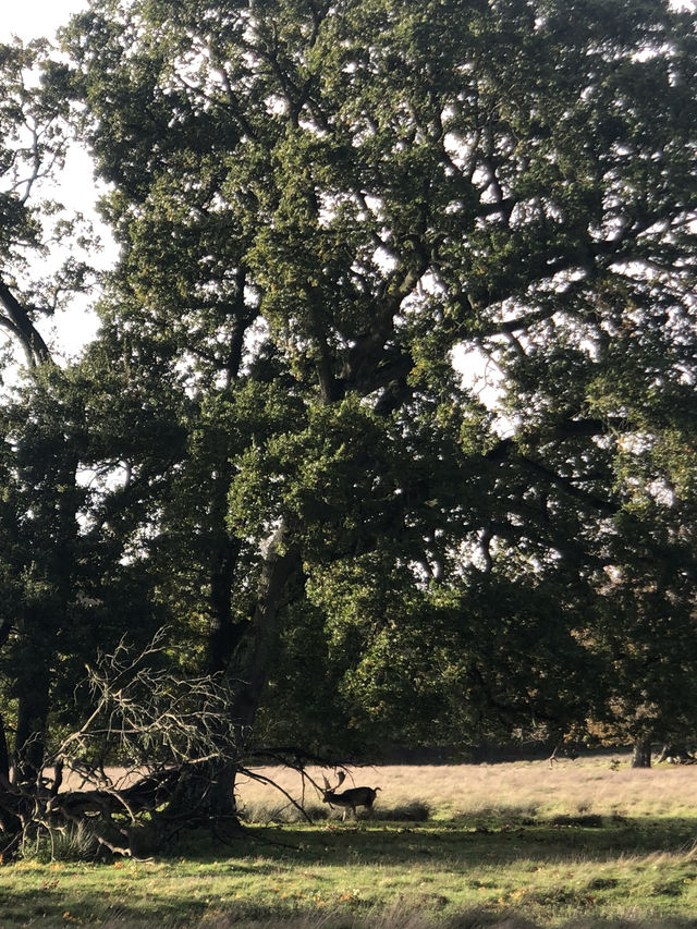 The most beautiful foraging spot for nature lovers