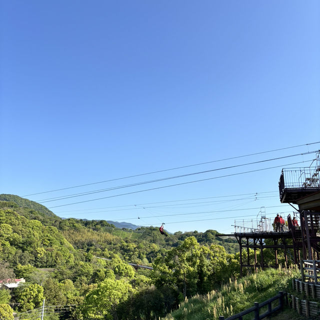 🇯🇵【愛媛県】四国最大級スケールを誇る とべもりジップライン