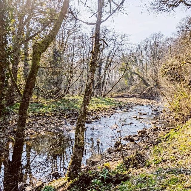 Brock Bottom